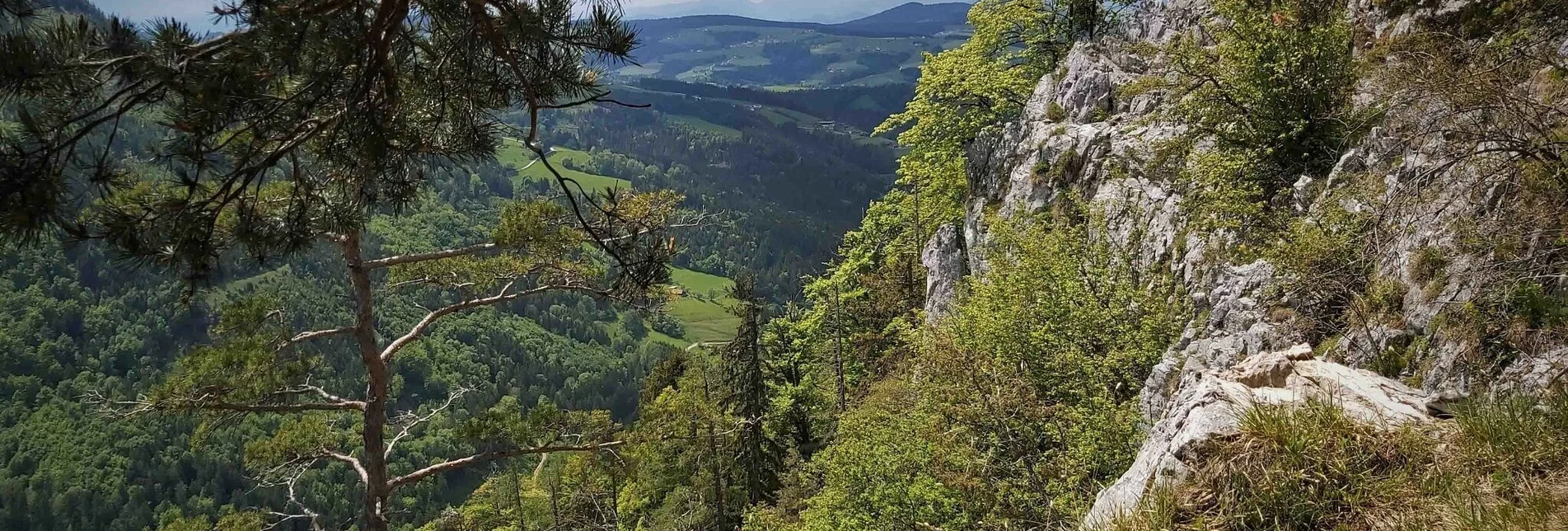 Hiking route Gösser & Sattelberge-Runde, Dürntal/Weiz - Touren-Impression #1 | © Oststeiermark Tourismus